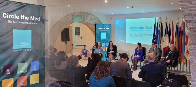 The HIIN at the Circle The Med conference 2024